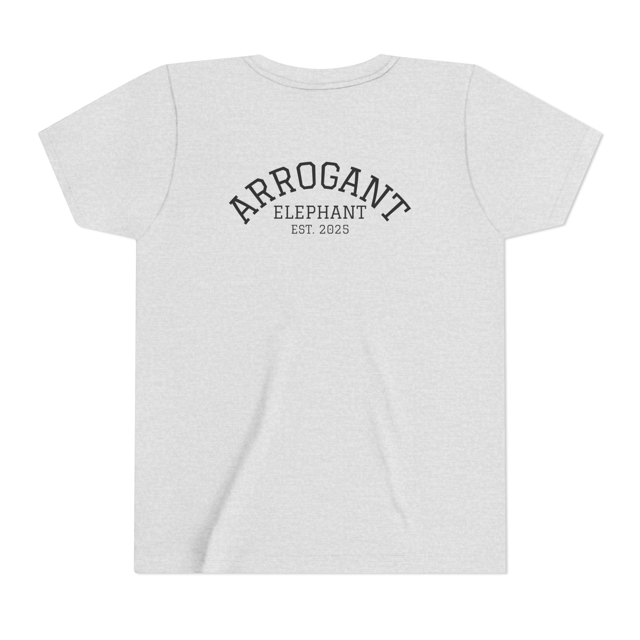 Arrogant Elephant™ Youth Baseball Shirt – Hit Dingers Steal Hearts Tee
