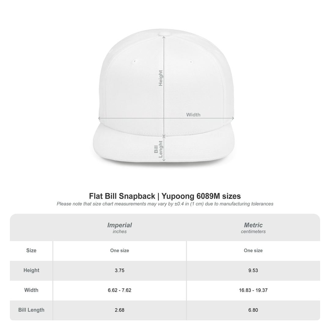 AE LOGO Snapback