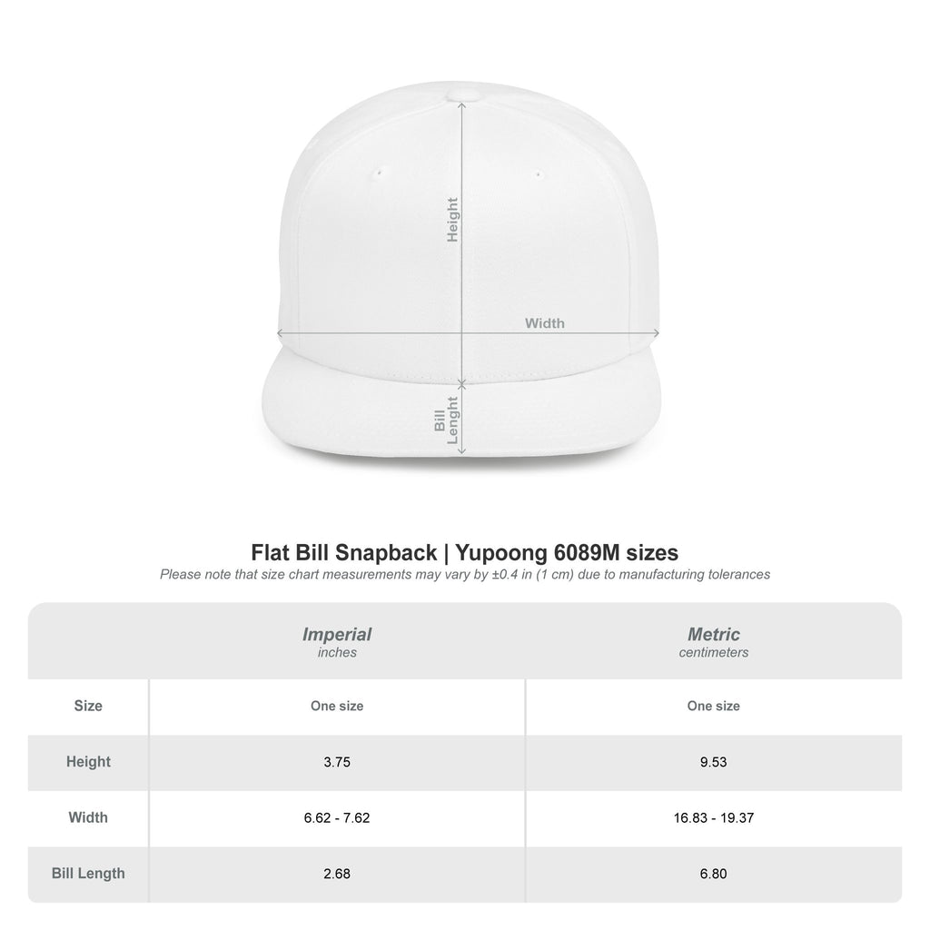 AE Lightning Flat Bill Snapback Hat — Retro Purple Logo Cap