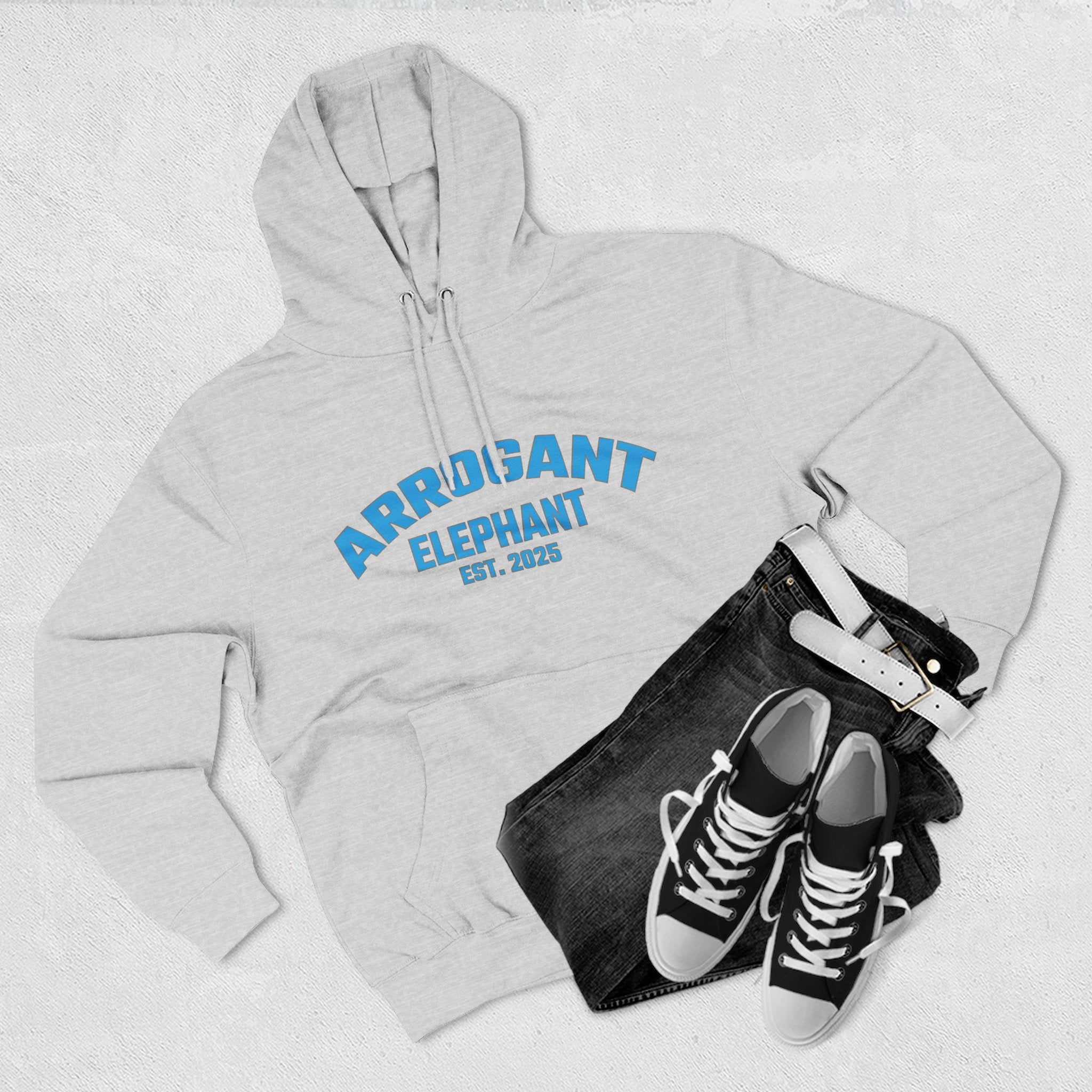 Arrogant Elephant™ Retro Collegiate Hoodie – Est. 2025