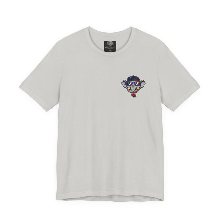 AE Adult Stars, Stripes and Seams Tee