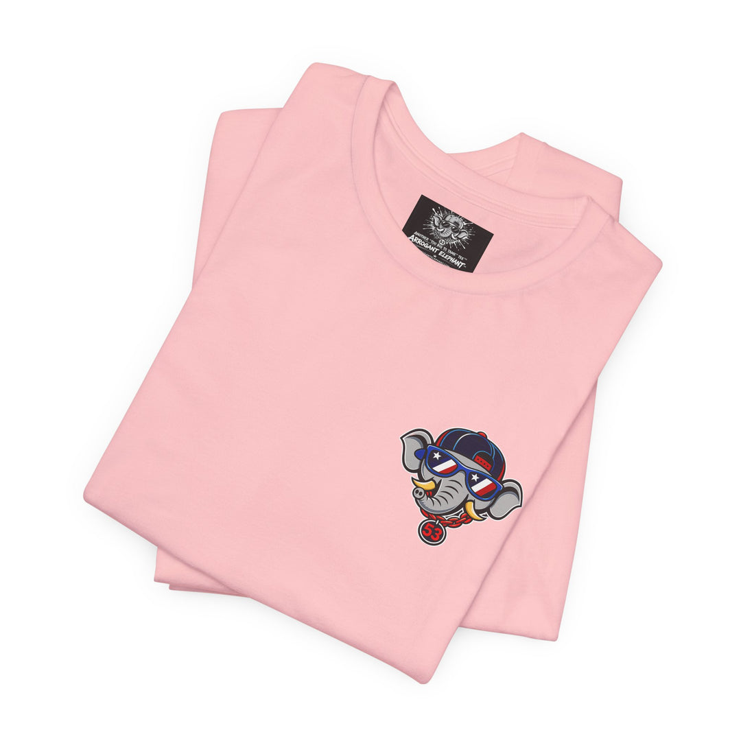 AE Adult Stars, Stripes and Seams Tee