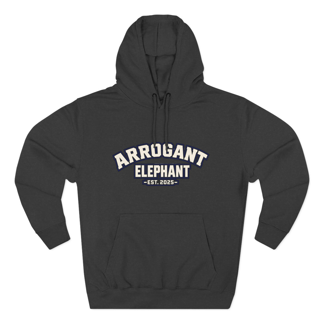 Retro Collegiate Hoodie – Est. 2025- Adult
