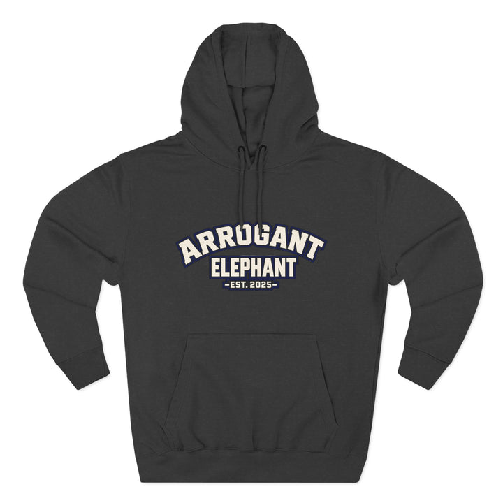 Retro Collegiate Hoodie – Est. 2025- Adult