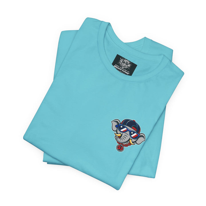 AE Adult Stars, Stripes and Seams Tee