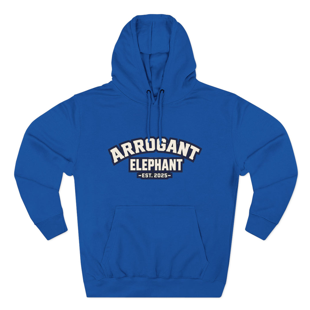 Retro Collegiate Hoodie – Est. 2025- Adult
