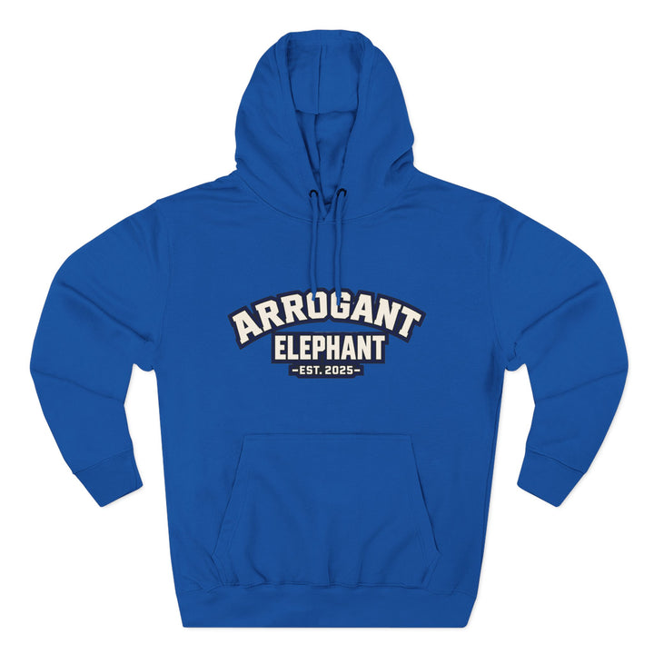 Retro Collegiate Hoodie – Est. 2025- Adult