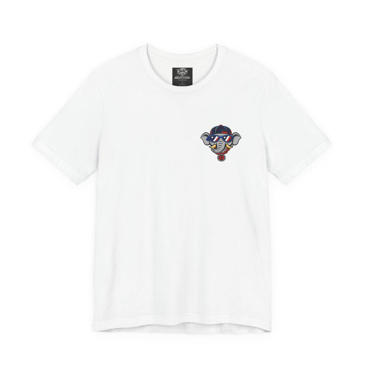 AE Adult Stars, Stripes and Seams Tee