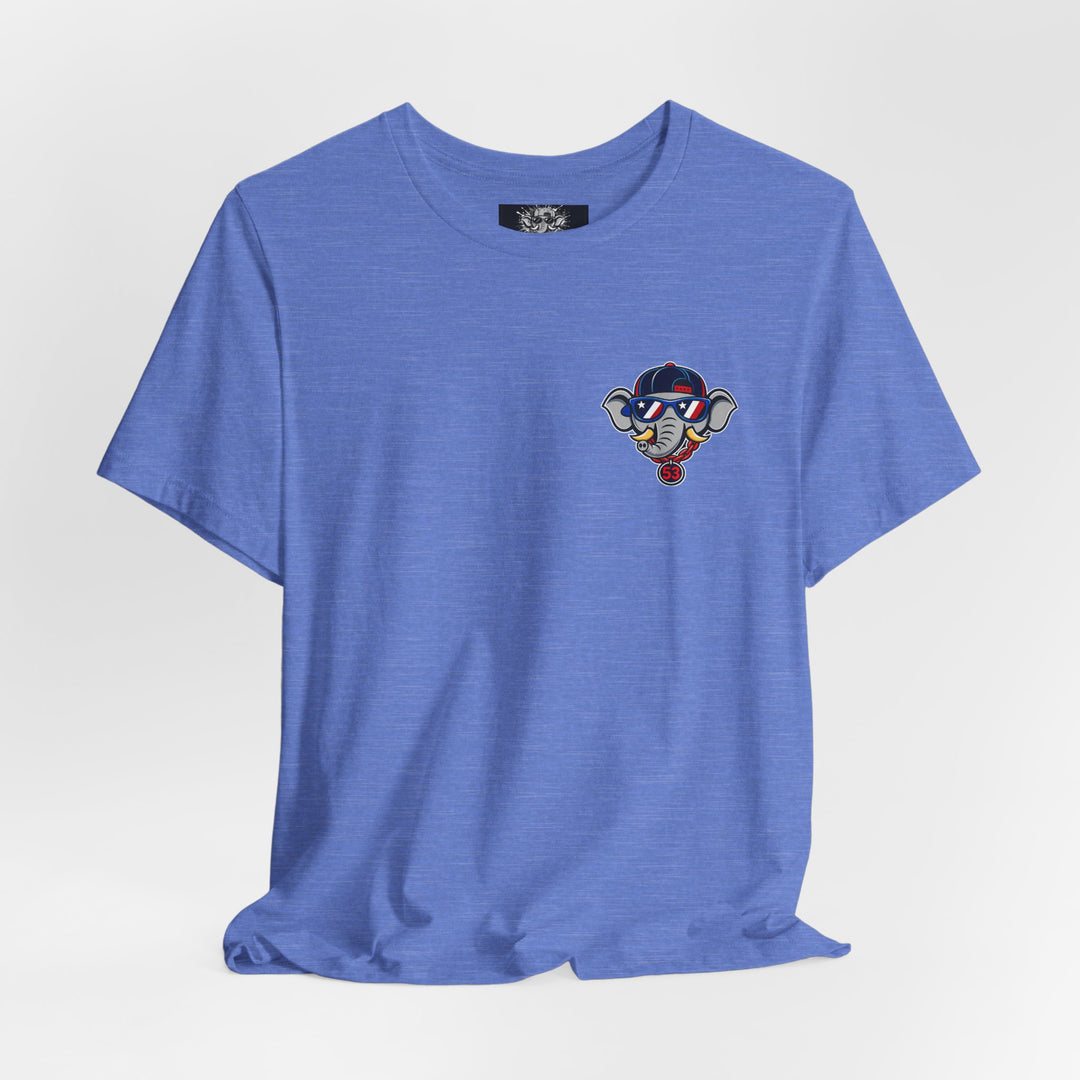AE Adult Stars, Stripes and Seams Tee