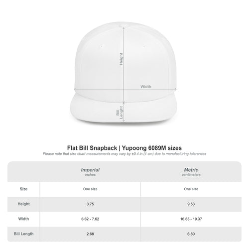 AE Lightning Flat Bill Snapback Hat — Retro Purple Logo Cap