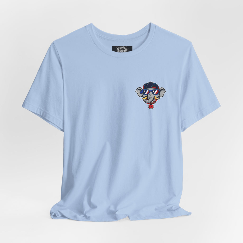 Adult Stars, Stripes and Seams T-Shirt — Patriotic Baseball Tee