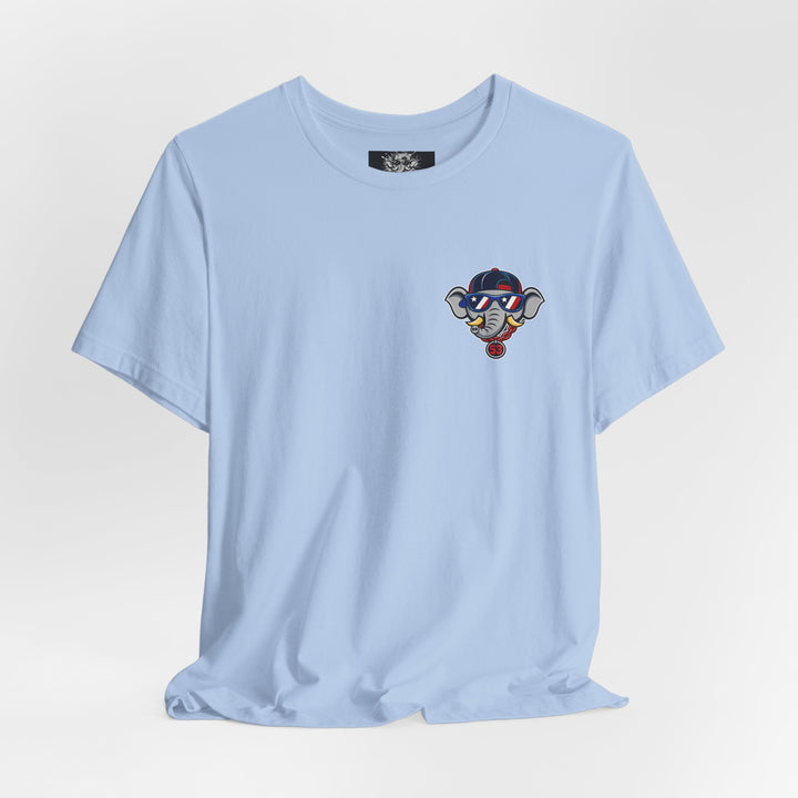 AE Adult Stars, Stripes and Seams Tee